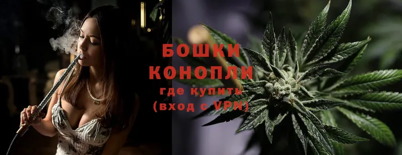 блэк спрут как зайти  Пугачёв  Конопля White Widow 